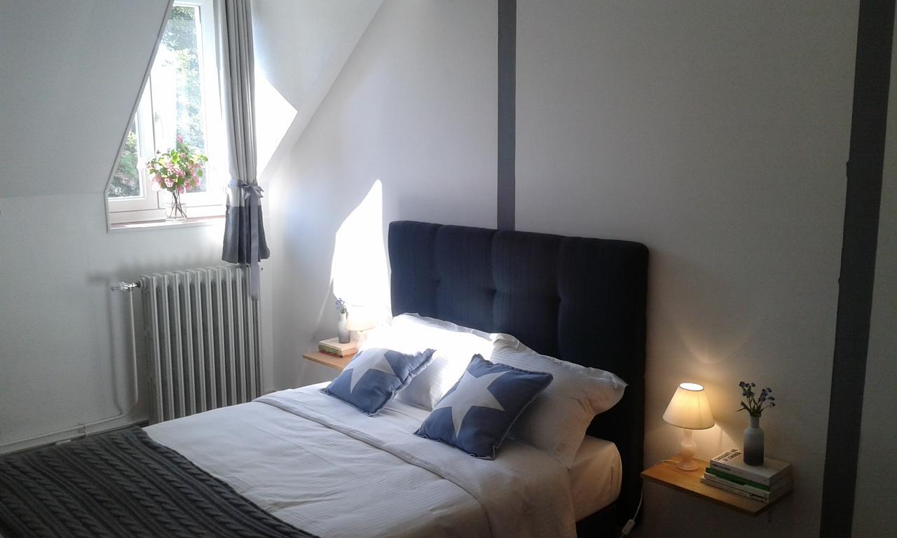 La Sauldre Bed & Breakfast Vailly-sur-Sauldre Екстериор снимка