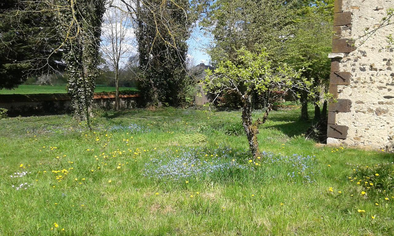 La Sauldre Bed & Breakfast Vailly-sur-Sauldre Екстериор снимка